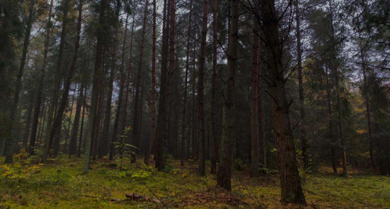 Nadmorski Dom Pod Lasem Villa Mieroszyno Esterno foto